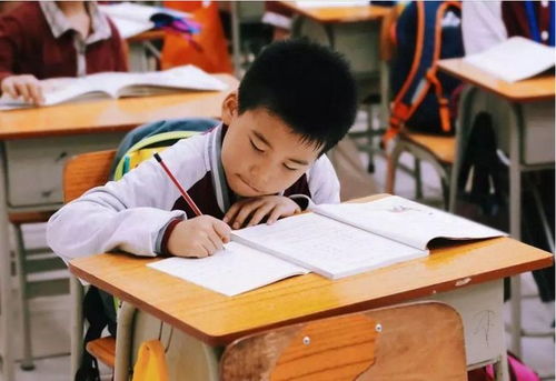 江苏全面启动课后服务与家庭教育咨询，为家长减负解忧